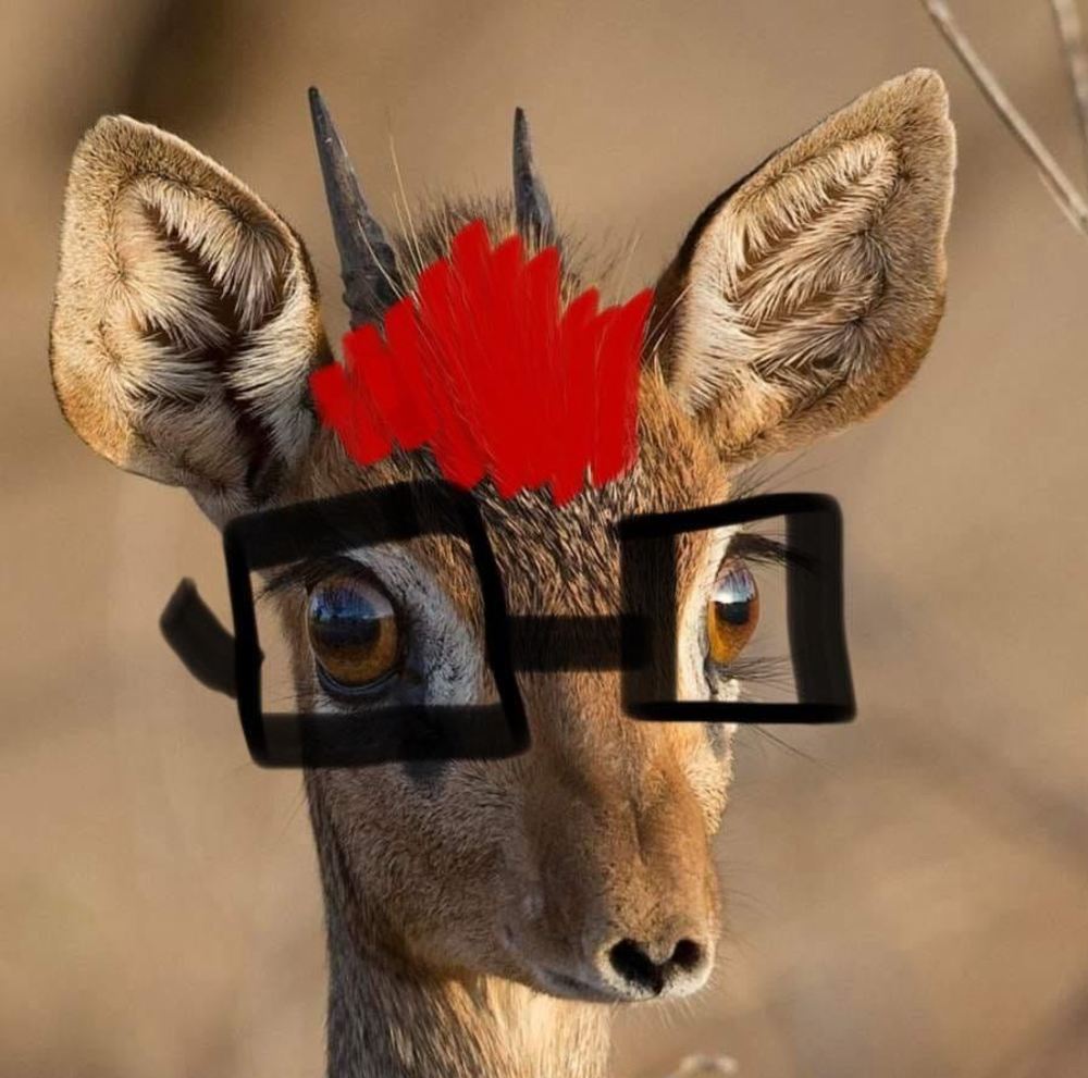 Meet your Posher, Ethan